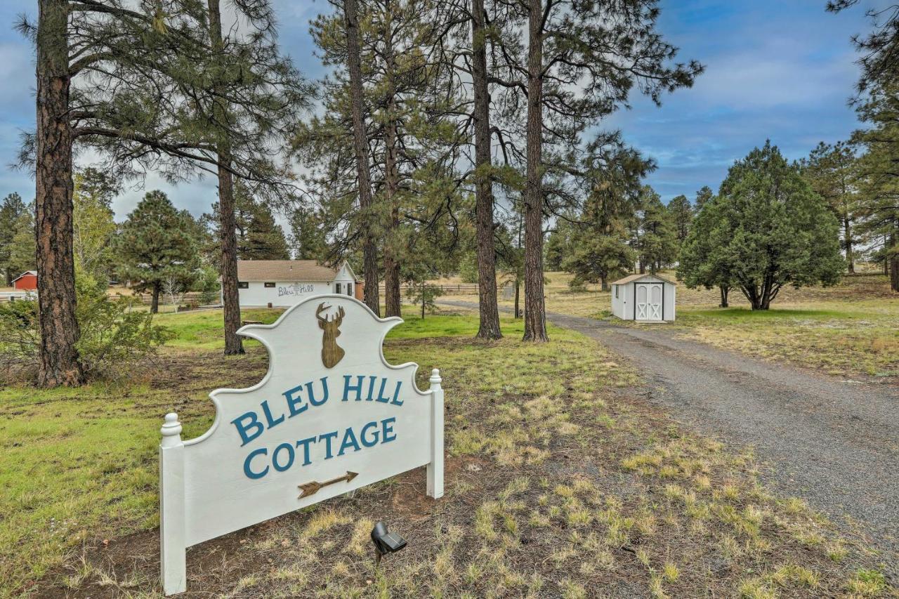 Bleu Hill Cottage Ski Snow Bowl&Hike Flagstaff! Exteriör bild